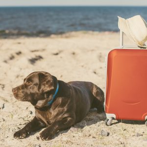 Çeşme’ye Gelirken Seyahat Çantasında Neler Olmalı?
