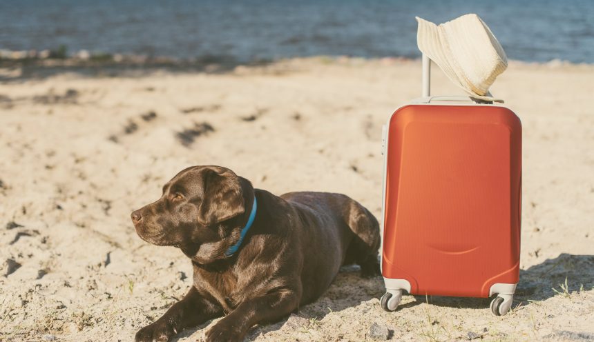 Çeşme tatil