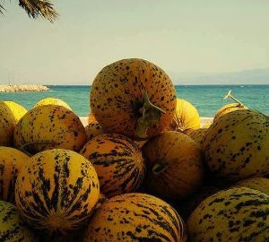 Çeşme Kavunu