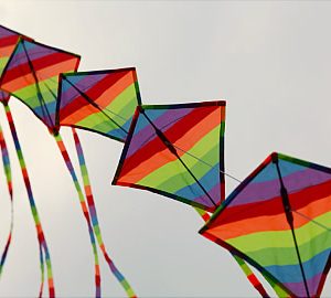 Uçurtma Festivali