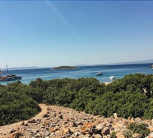 Eşek Adası